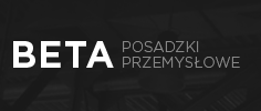 Strona www Posadzki Betonowe BETA SYSTEM